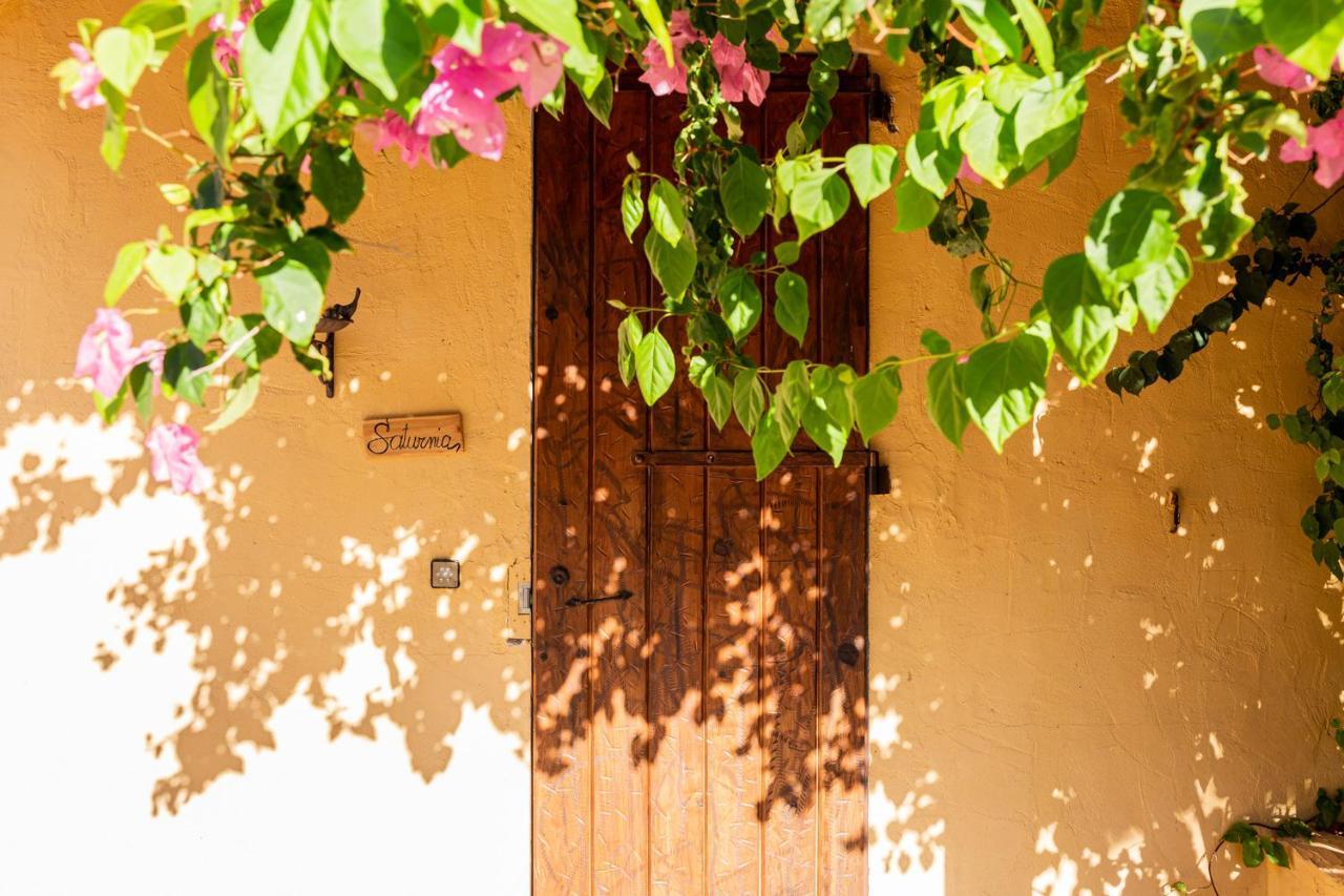 Las Mariposas Sant Antoni de Portmany Exterior foto