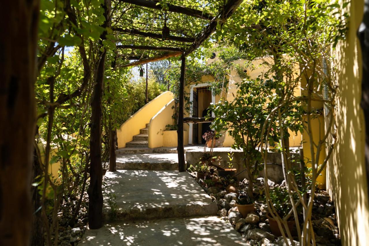 Las Mariposas Sant Antoni de Portmany Exterior foto